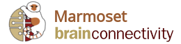 Marmoset Brain Connectivity Atlas: Retrograde Anatomical Tracer Injections