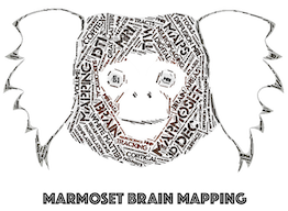 Marmoset Brain Mapping: MRI based atlases