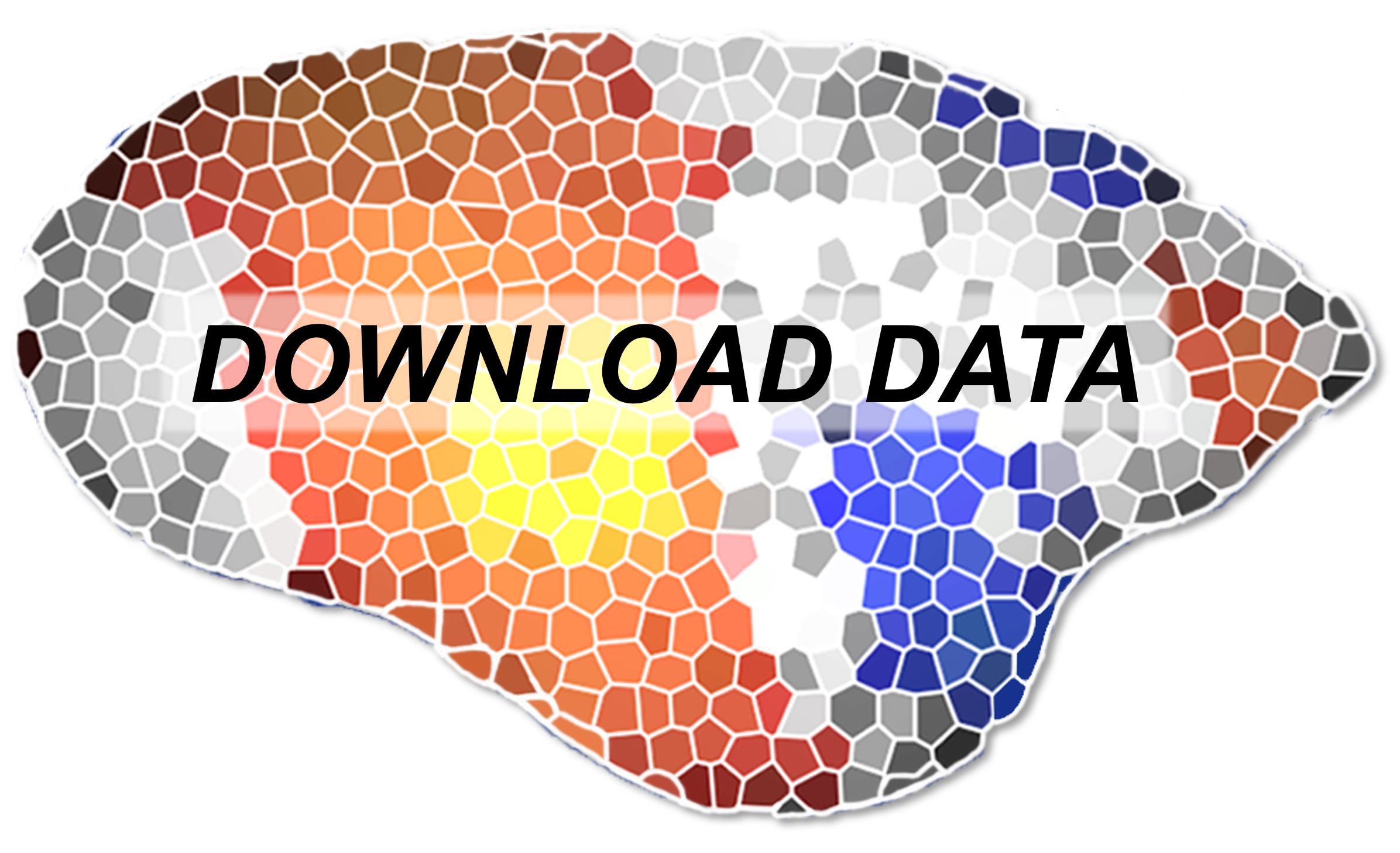 Download datasets